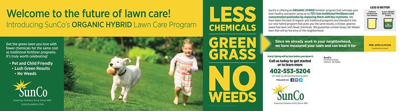 Direct Mailer for a lawn care company